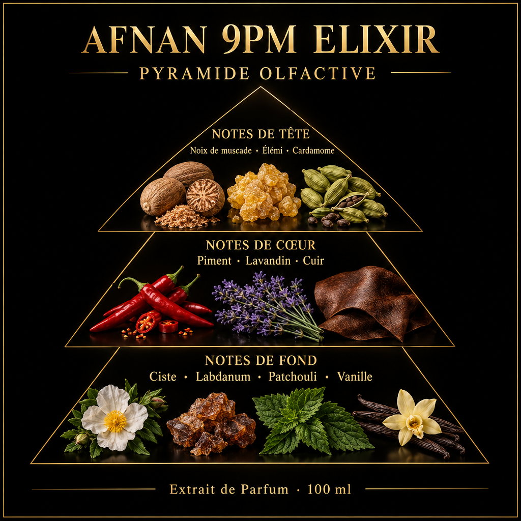 Pyramide olfactive de Afnan 9PM Elixir – notes de tête, de cœur et de fond