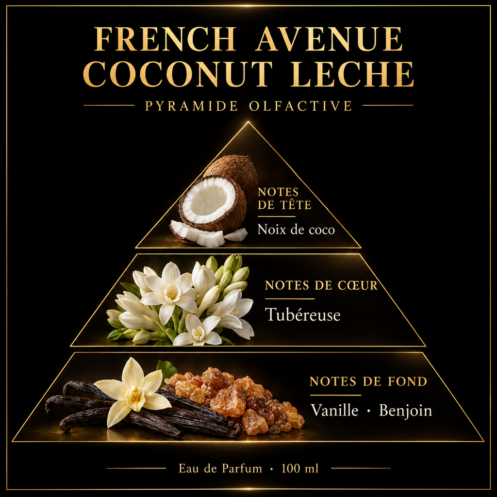 Pyramide olfactive de French Avenue Coconut Leche – notes de tête, de cœur et de fond