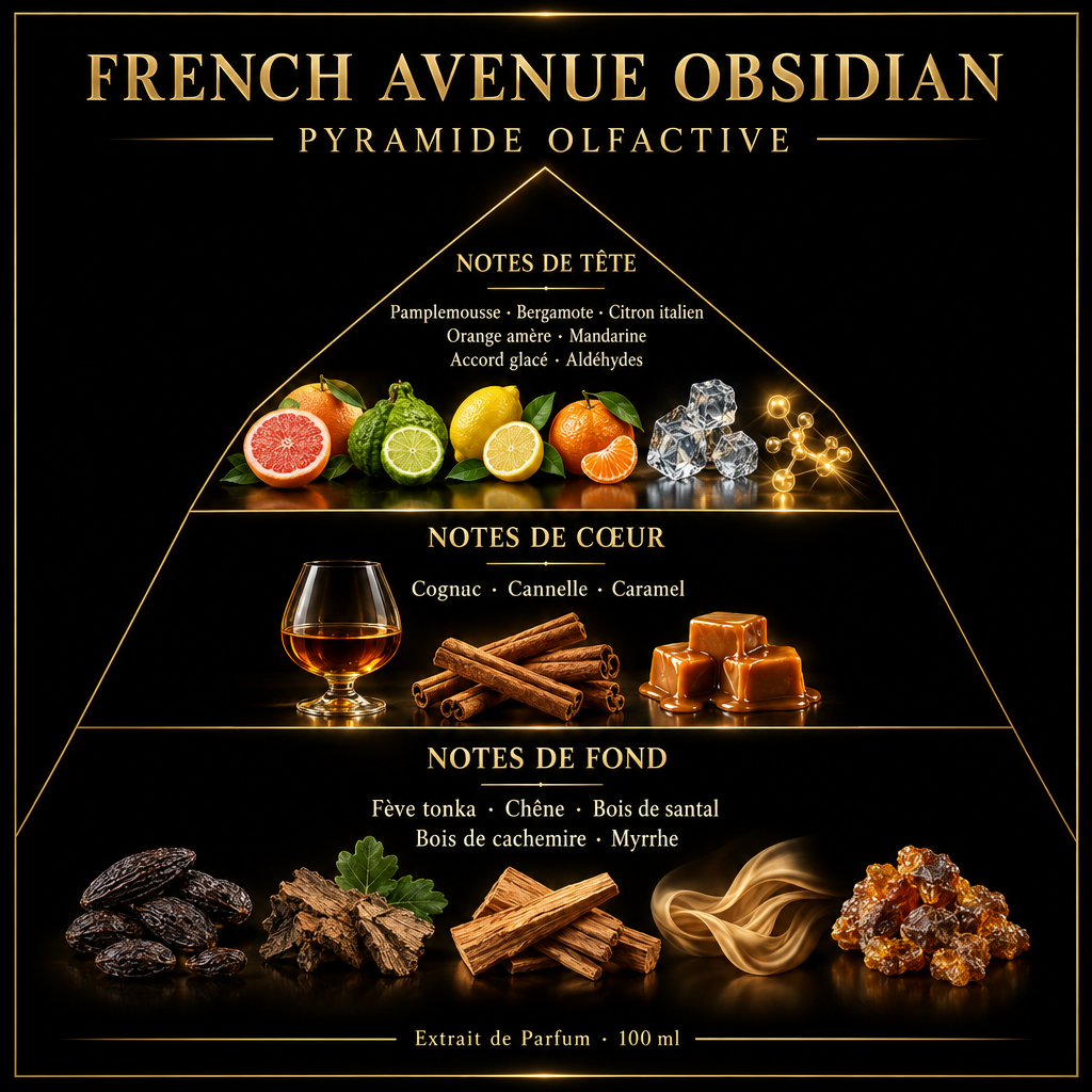 Pyramide olfactive de French Avenue Obsidian – notes de tête, de cœur et de fond
