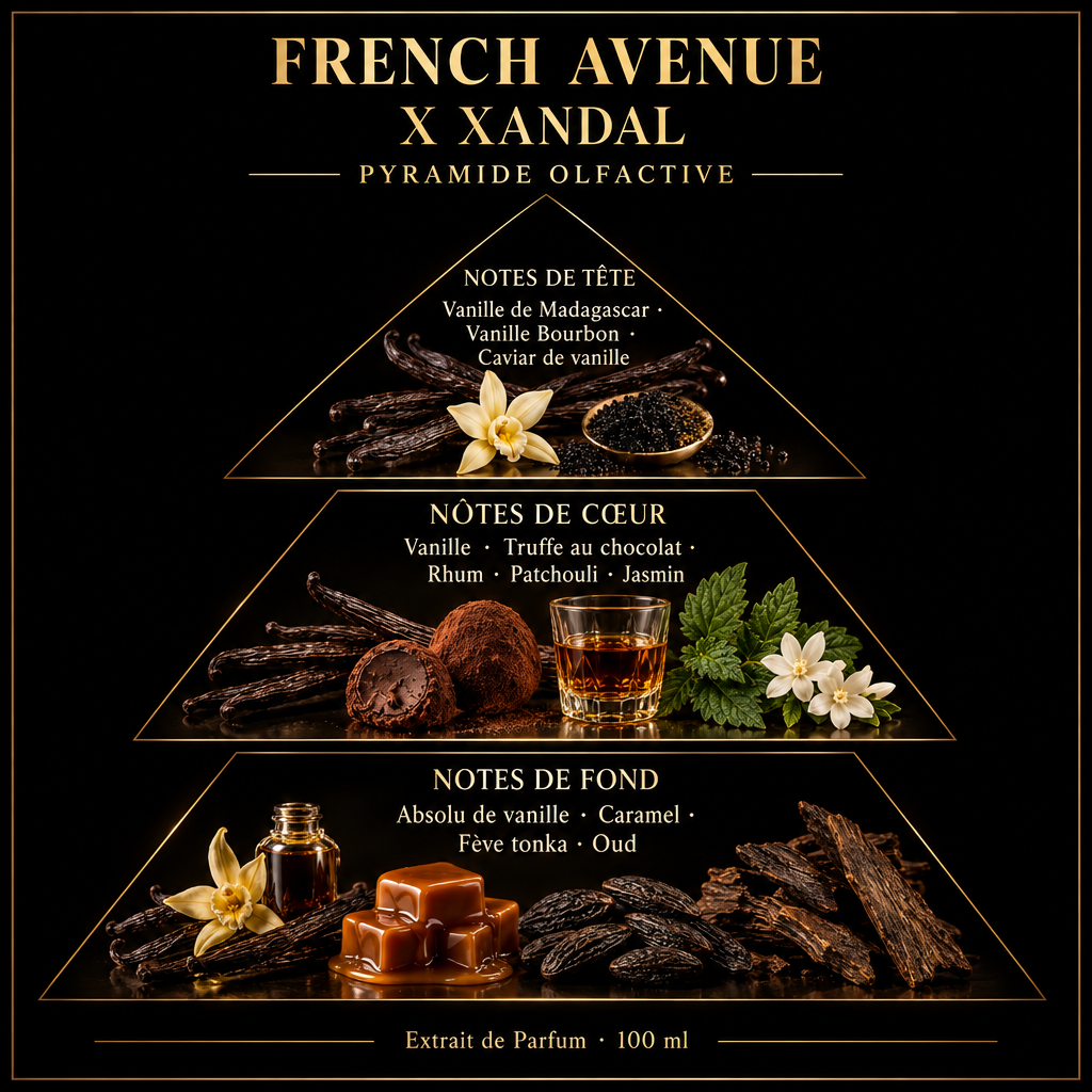 Pyramide olfactive de French Avenue X Xandal – notes de tête, de cœur et de fond