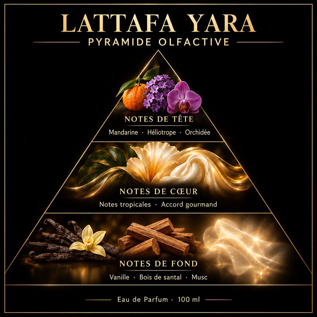 Pyramide olfactive de Lattafa Yara – notes de tête, de cœur et de fond