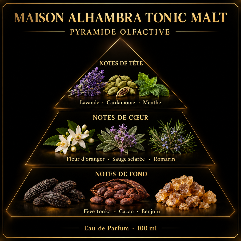 Pyramide olfactive de Maison Alhambra Tonic Malt – notes de tête, de cœur et de fond