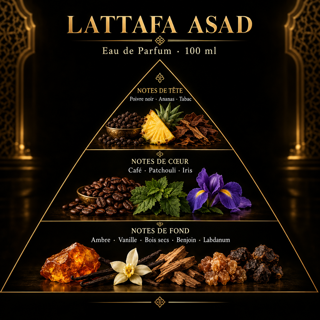 Triangle olfactif de Lattafa Asad sur fond noir et doré