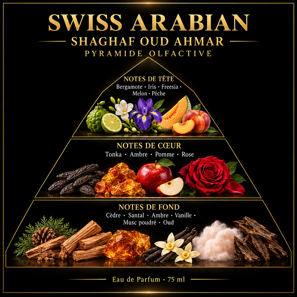 Pyramide olfactive de Swiss Arabian Shaghaf Oud Ahmar – notes de tête, de cœur et de fond